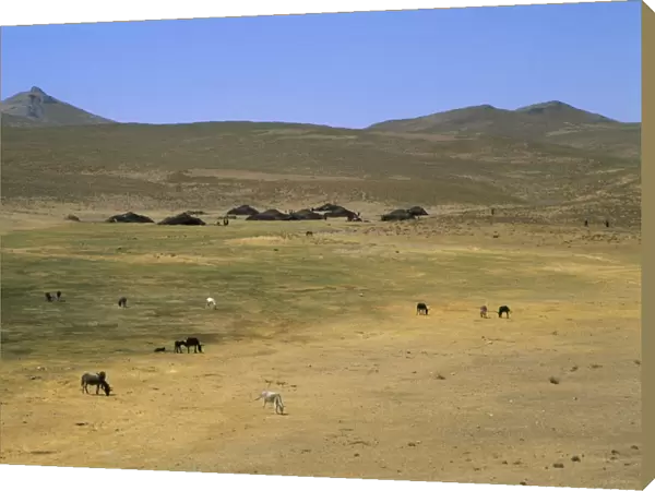 Nomad tents between Chakhcharan and Djam, Afghanistan, Asia