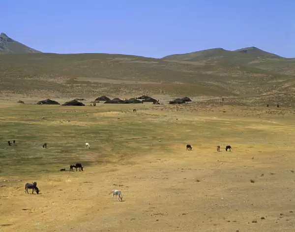 Nomad tents between Chakhcharan and Djam, Afghanistan, Asia
