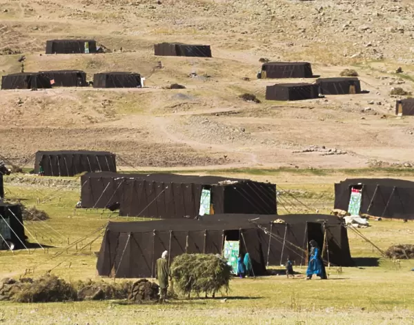 Aimaq nomad camp, Pal-Kotal-i-Guk, between Chakhcharan and Jam, Afghanistan, Asia