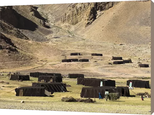 Summer yurts in camp of Aimaq semi-nomads, between Chakhcharan and Jam