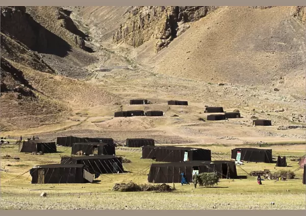 Summer yurts in camp of Aimaq semi-nomads, between Chakhcharan and Jam
