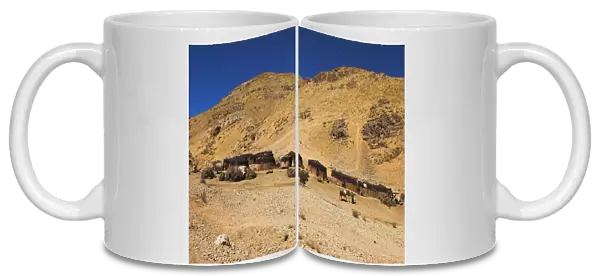 Aimaq nomad camps, near village of Jam, Ghor (Ghowr province), Afghanistan, Asia