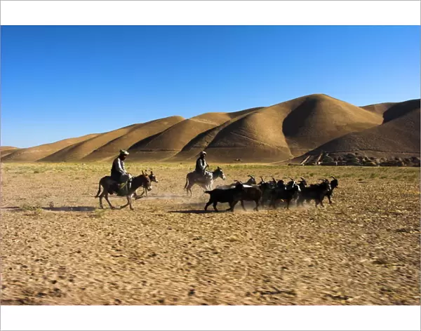 Men on donkeys tending goats, between Herat and Maimana, after Bala Murghah