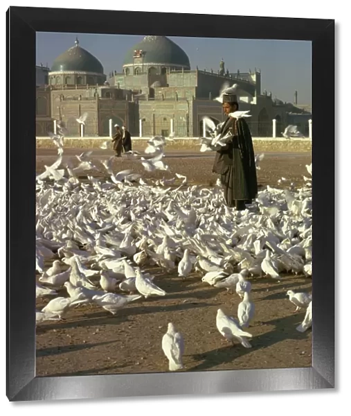 Man feeding white doves in front of the shrine of Ali at Mazar-i-Sharif in Afghanistan