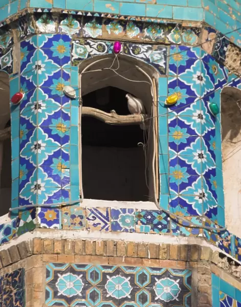 Famous white pingeon in minaret, Shrine of Hazrat Ali, who was assassinated in 661