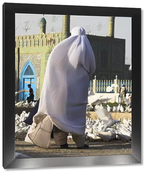 Lady in burqa feeding the famous white pigeons at the shrine of Hazrat Ali