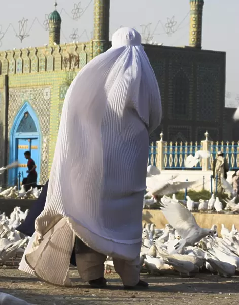 Lady in burqa feeding the famous white pigeons at the shrine of Hazrat Ali