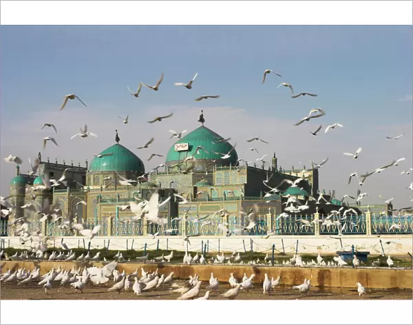 The famous white pigeons, Shrine of Hazrat Ali, Mazar-I-Sharif, Balkh province