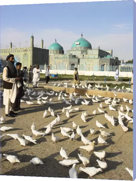 People feeding the famous white pigeons, Shrine of Hazrat Ali, Mazar-I-Sharif