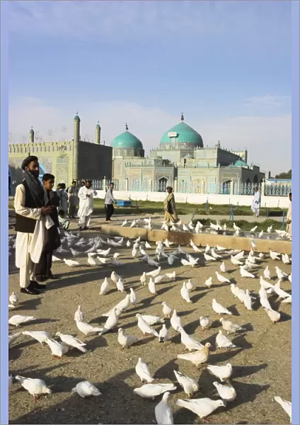 People feeding the famous white pigeons, Shrine of Hazrat Ali, Mazar-I-Sharif