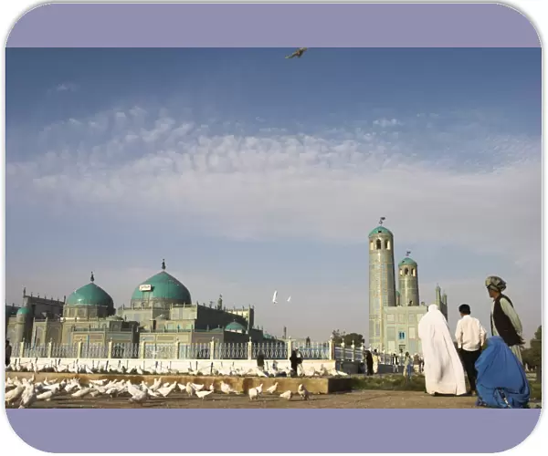 Lady in burqa feeding famous white pigeons at Shrine of Hazrat Ali, Mazar-I-Sharif