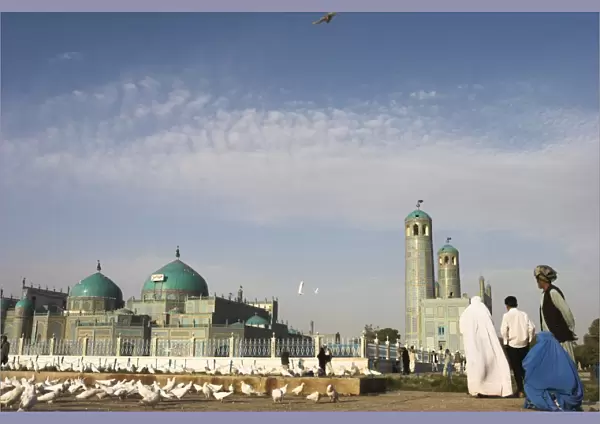 Lady in burqa feeding famous white pigeons at Shrine of Hazrat Ali, Mazar-I-Sharif