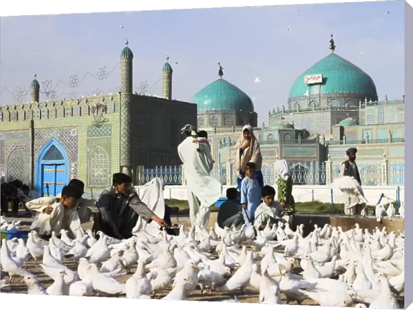 People feeding famous white pigeons at Shrine of Hazrat Ali, Mazar-I-Sharif