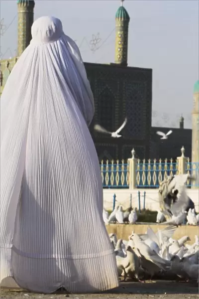 Lady in burqa feeding famous white pigeons whilst child chases them, Shrine of Hazrat Ali