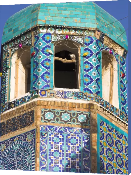 Famous white pigeon in minaret, Shrine of Hazrat Ali, who was assassinated in 661