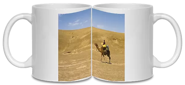 Boy riding camel, between Maimana and Mazar-I-Sharif, Afghanistan, Asia