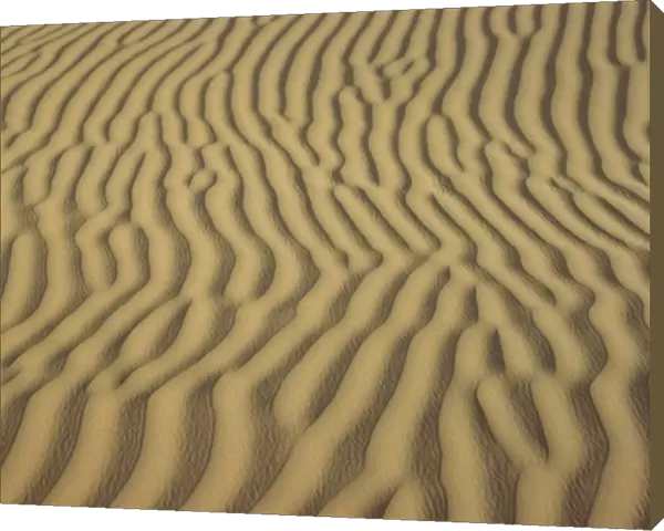 Sand ripples, Sahara, Algeria, North Africa, Africa