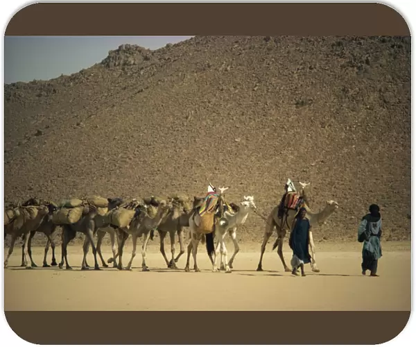 Tuareg people leading camel train across desert, Algeria, North Africa, Africa