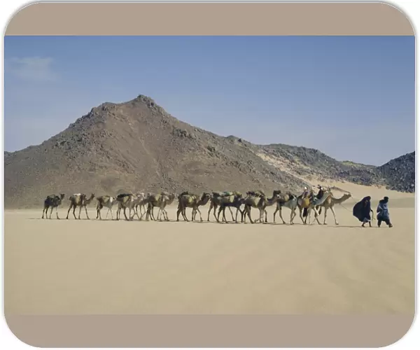 Tuareg and wife leading camel train through the desert near Djanet, Algeria, North Africa