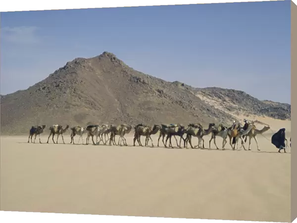 Tuareg and wife leading camel train through the desert near Djanet, Algeria, North Africa
