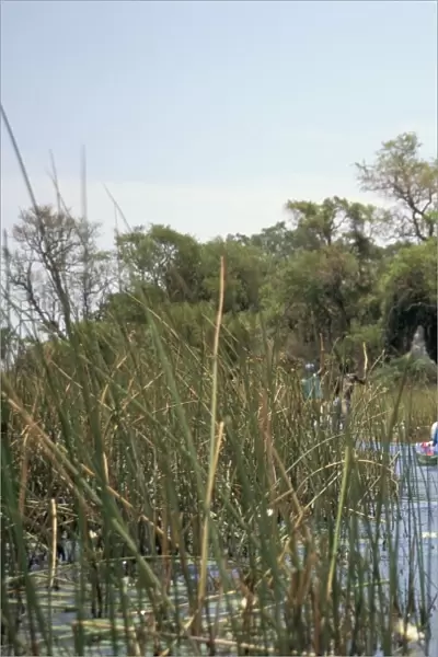 Tourists in dug out canoe (mokoro), Okavango Delta, Botswana, Africa