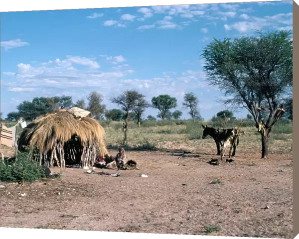 Bushmen, Kalahari, Botswana, Africa