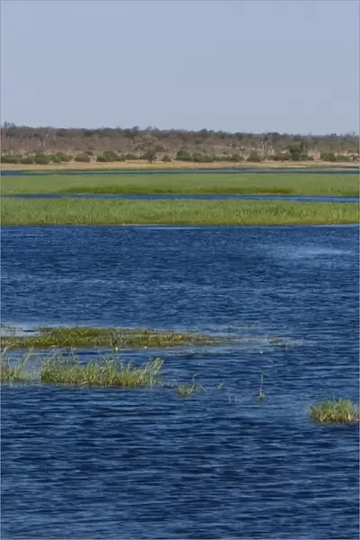Chobe River, Chobe National Park, Botswana, Africa