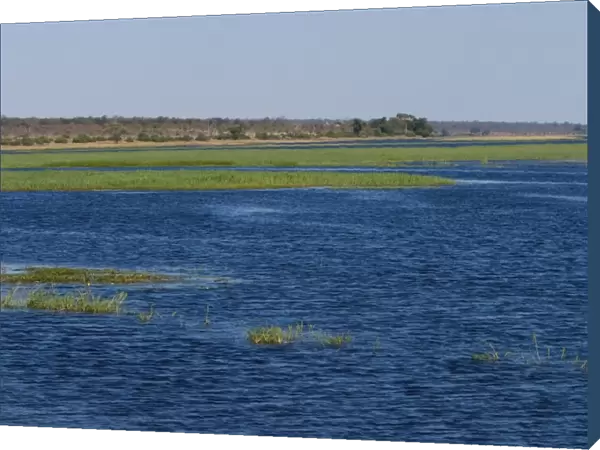 Chobe River, Chobe National Park, Botswana, Africa