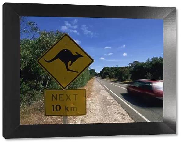 Kangaroo sign, Hog Bay road, Kangaroo Island, South Australia, Australia, Pacific