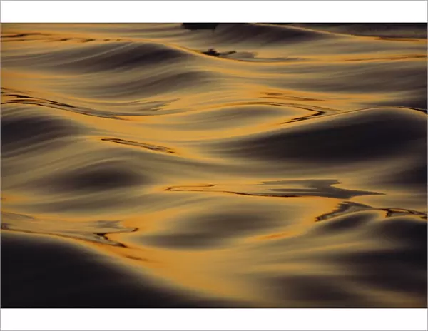 Calm water ripples in winter dusk light, Tysfjord, Arctic Waters, Polar Regions