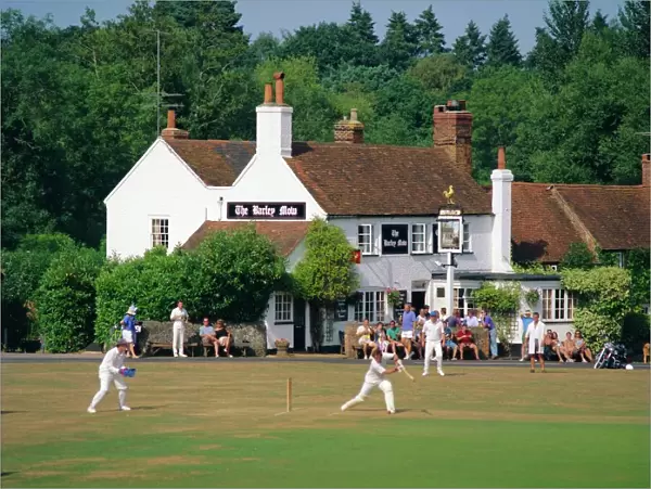Village green cricket, Tilford, Surrey, England, UK