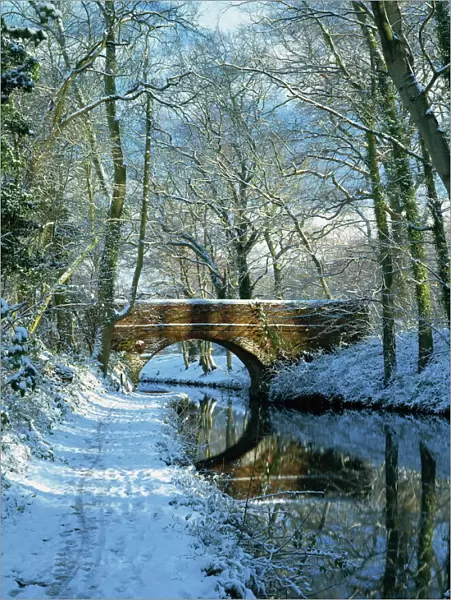Snow on the Basingstoke Canal, Staceys bridge and towpath, Winchfield