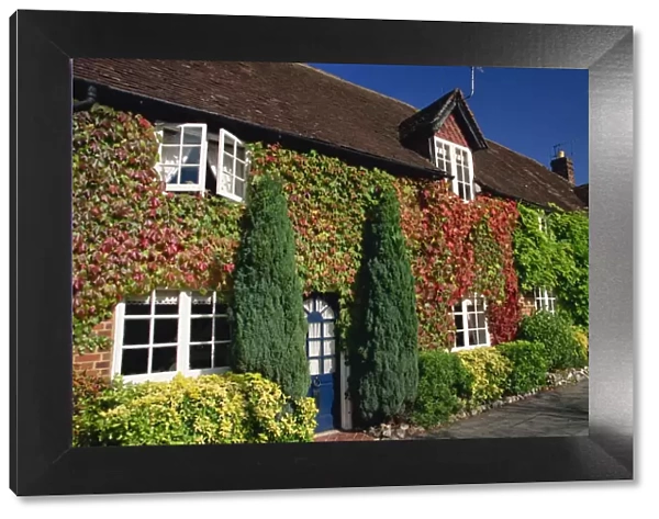 Creeper-clad cottages, Hursley, Hampshire, England, United Kingdom, Europe