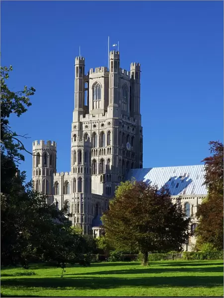 Ely Cathedral in late afternoon sunshine, Church of the Holy and Undivided Trinity