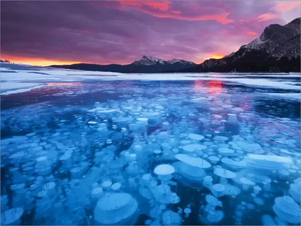 Bubbles and Cracks in the Ice with Kista Peak in the Background at Sunrise, Abraham Lake