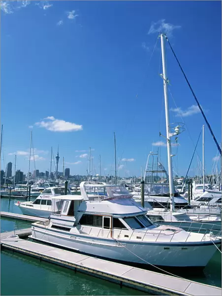 Boats in the Westhaven yacht marina in the city of Auckland