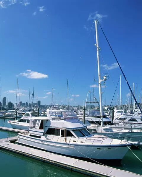 Boats in the Westhaven yacht marina in the city of Auckland