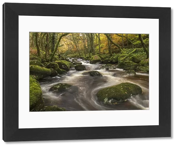 Fast flowing woodland stream in autumn, River Plym, Dartmoor National Park, Devon
