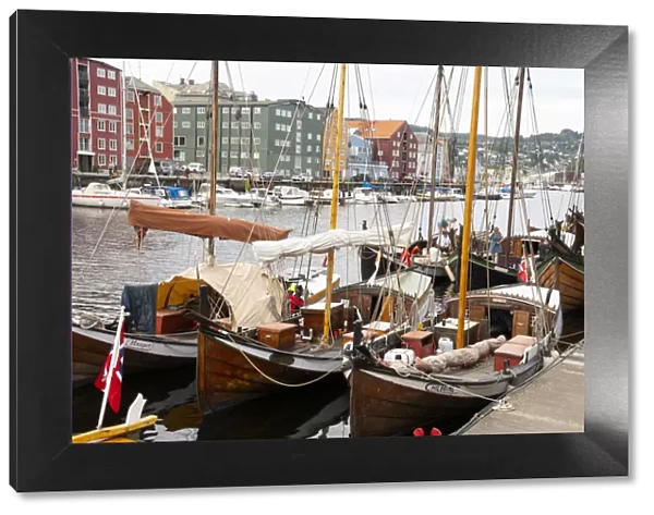 Wooden sailboats at the old boat festival in Trondheim, Trondelag, Norway, Scandinavia
