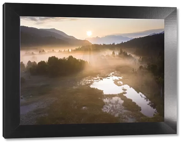Fog at sunrise over the swamp of Pian di Gembro Nature Reserve, aerial view, Aprica