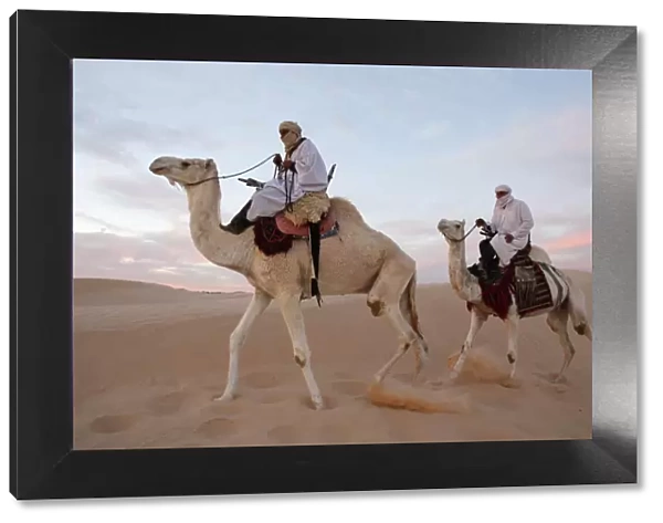 Dromedary riders in the Sahara, Douz, Kebili, Tunisia, North Africa, Africa
