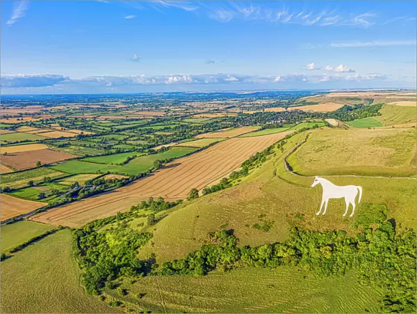 Aerial view of the famous White Horse below Bratton Camp