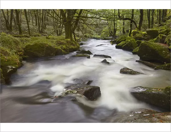 The River Fowey, flowing through woodland and over Golitha Falls