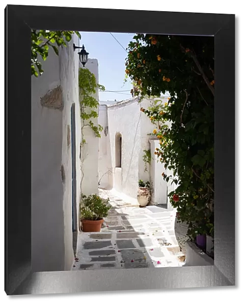 Traditional whitewashed house in Chora, Serifos, Cyclades, Greek Islands, Greece, Europe