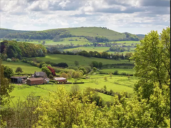 View from Shaftesbury over Cranborne Chase AONB (Area of Outstanding Natural Beauty