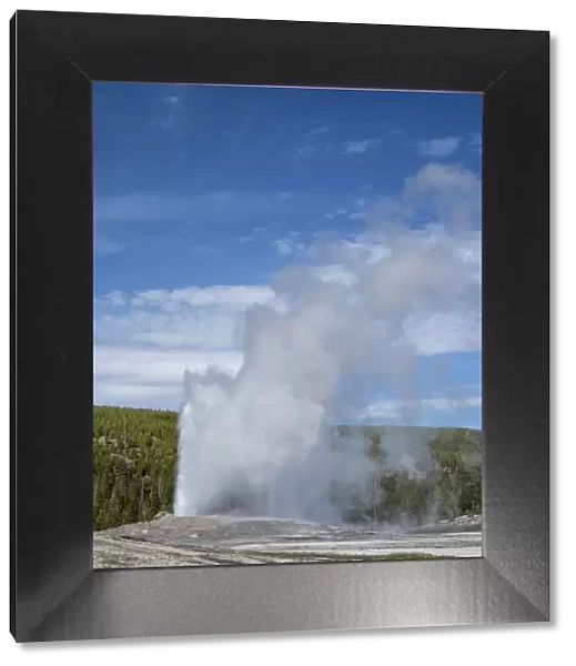 The cone geyser called Old Faithful erupting, Yellowstone National Park