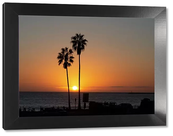 Sunset over the ocean and two palm trees in silhouettte, Dana Point, California, United States of America, North America