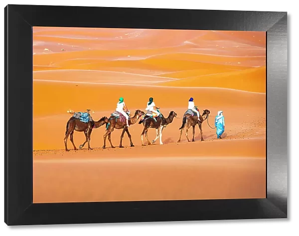 Tuareg man leading a camel train of tourists on the sand dunes of Erg Chebbi, Merzouga, Sahara Desert, Morocco, North Africa, Africa