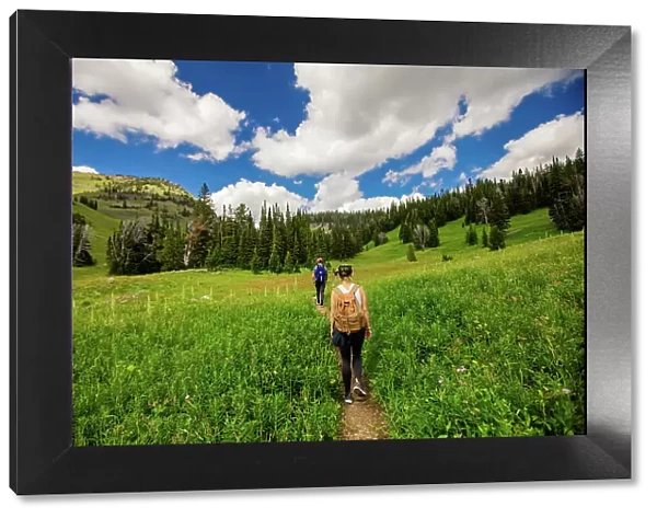 Walkers on Grand Teton National Park trails, Wyoming, United States of America, North America