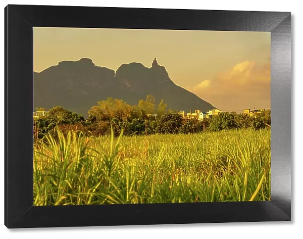 View of farmland and mountains near Quatre Bornes, Mauritius, Indian Ocean, Africa